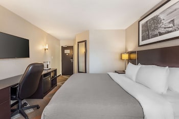 Standard Room, 1 King Bed, Non Smoking