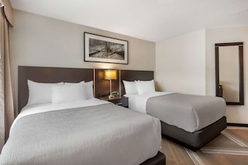 Standard Double Room, 2 Double Beds, Non Smoking