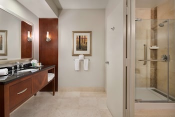 Premium Suite, 1 Bedroom