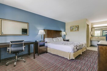 Room, 1 King Bed, Accessible, Non Smoking