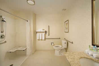 Standard Room, 1 King Bed, Roll-in Shower (Communications Accessible)