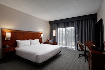 Basic Room, 1 King Bed with Sofa bed (Mobility/Hearing Access, Roll-in Shwr)