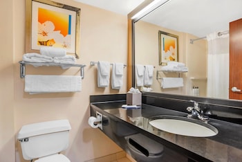 Suite, 1 King Bed, Non Smoking