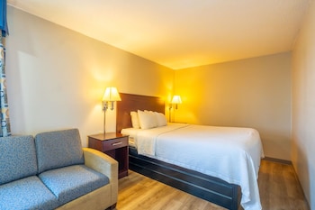 Studio Suite, 1 King Bed, Non Smoking