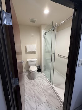 Business Suite, 1 Bedroom
