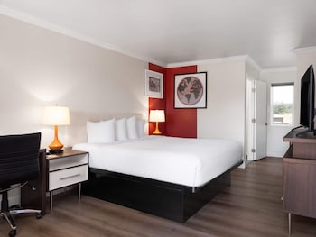 Room, 1 King Bed, Non Smoking (Dog Friendly)