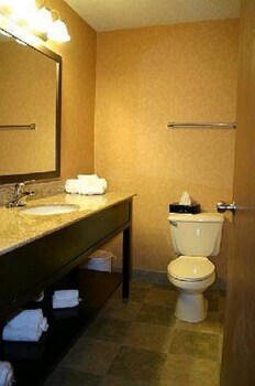 Room, 1 King Bed, Accessible, Non Smoking