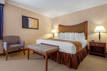 Suite, 1 King Bed, Refrigerator, River View (with Sofabed)