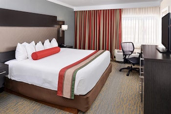 Standard Room, 1 King Bed, Accessible, Bathtub