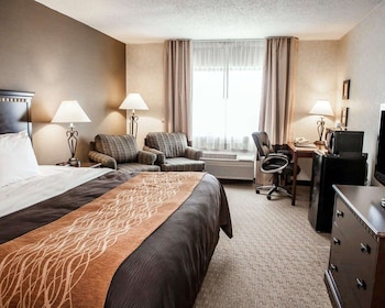Standard Room, 1 King Bed, Non Smoking
