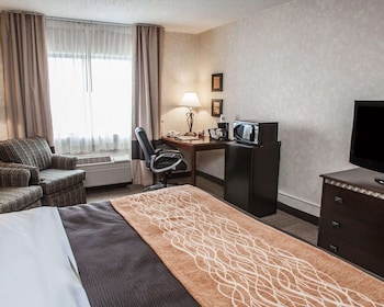 Standard Room, 1 King Bed, Non Smoking