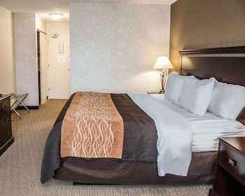 Standard Room, 1 King Bed, Non Smoking