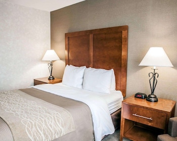 Standard Room, 1 Queen Bed, Non Smoking