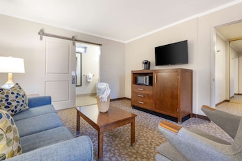 Suite, 1 King Bed, Accessible, Non Smoking (Walk-in Shower;with Sofabed)