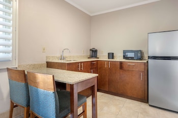 Suite, 1 King Bed, Non Smoking, Kitchen (with Sofabed)
