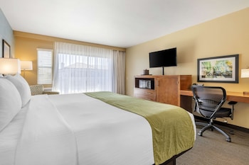 Standard Room, 1 King Bed, Balcony, Partial Ocean View