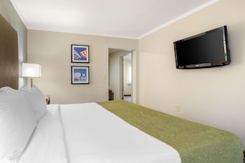 Suite, 1 King Bed, Accessible, Non Smoking (Walk-in Shower;with Sofabed)