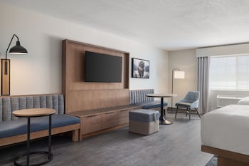 Room, Multiple Beds (Sofabed)