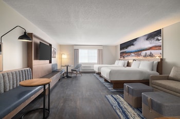Room, Multiple Beds