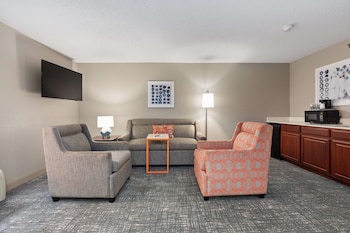 1 King Study with Sofa Bed