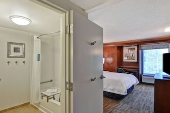 Room, 1 Queen Bed, Accessible, Bathtub