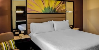 Room, 1 King Bed, City View