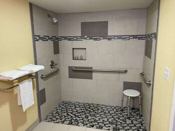 Standard Room, 1 King Bed, Accessible, Refrigerator & Microwave (Refrigerator & Microwave)
