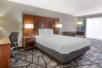 Business Room, 1 King Bed, Non Smoking, Refrigerator & Microwave (Oversized Room)