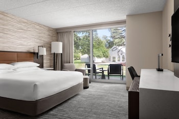 Room, 1 King Bed