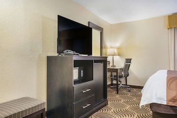 Efficiency, Studio Suite, 1 Queen Bed with Sofa bed, Non Smoking