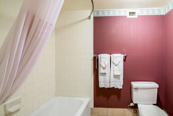 Room, 1 King Bed, Accessible, Non Smoking
