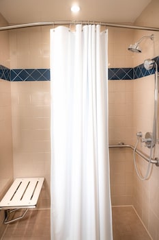 Room, 1 Queen Bed, Roll-in Shower