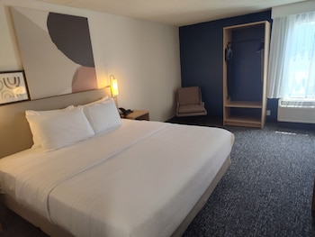Room, 1 King Bed with Sofa bed