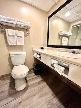 Business Room, 1 King Bed