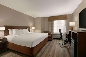 Room, 1 King Bed, Non Smoking