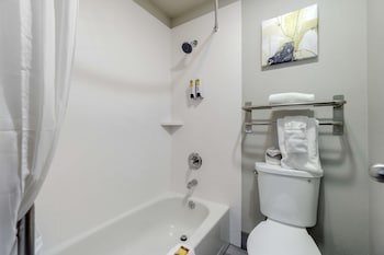 Standard Room, 1 King Bed, Non Smoking, Refrigerator & Microwave (with Sofabed)