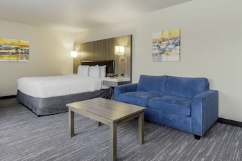 Standard Room, 1 King Bed, Non Smoking, Refrigerator & Microwave (with Sofabed)