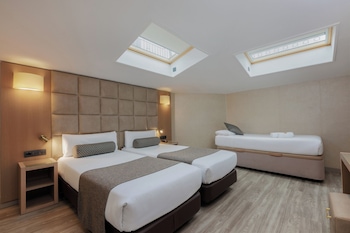 Triple Room (buhardilla, 1 adult)