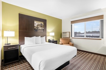Room, 1 Queen Bed, Non Smoking