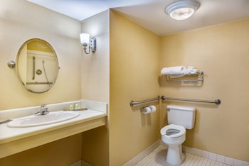 Room, 1 Queen Bed, Accessible (Mobility & Hearing, Roll-in Shower)