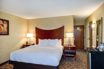 Room, 1 King Bed, Accessible, Bathtub