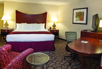Room, 1 King Bed, Accessible, Bathtub