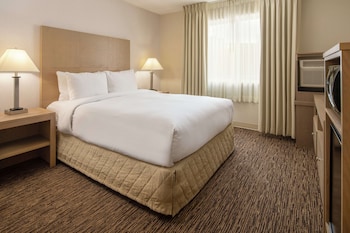 Room, 1 Queen Bed