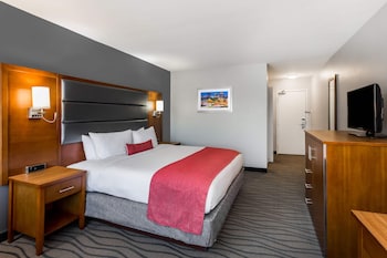 Room, 1 King Bed, Non Smoking