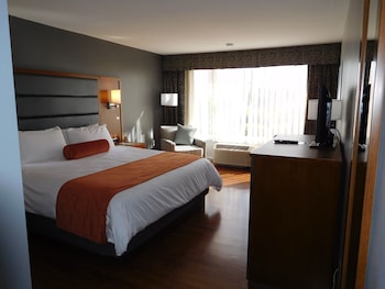 Room, 1 King Bed, Non Smoking