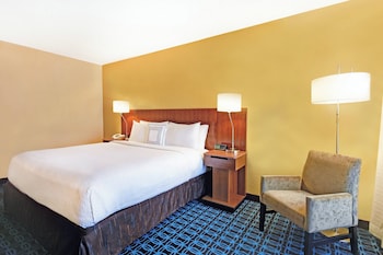 Room, 1 King Bed, Roll-in Shower