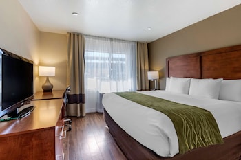 Suite, Multiple Beds, Accessible, Non Smoking