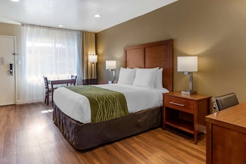 Standard Room, 1 Queen Bed, Non Smoking
