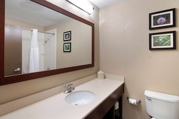 Suite, 1 King Bed with Sofa bed, Non Smoking