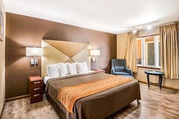 Standard Room, 1 King Bed, Non Smoking